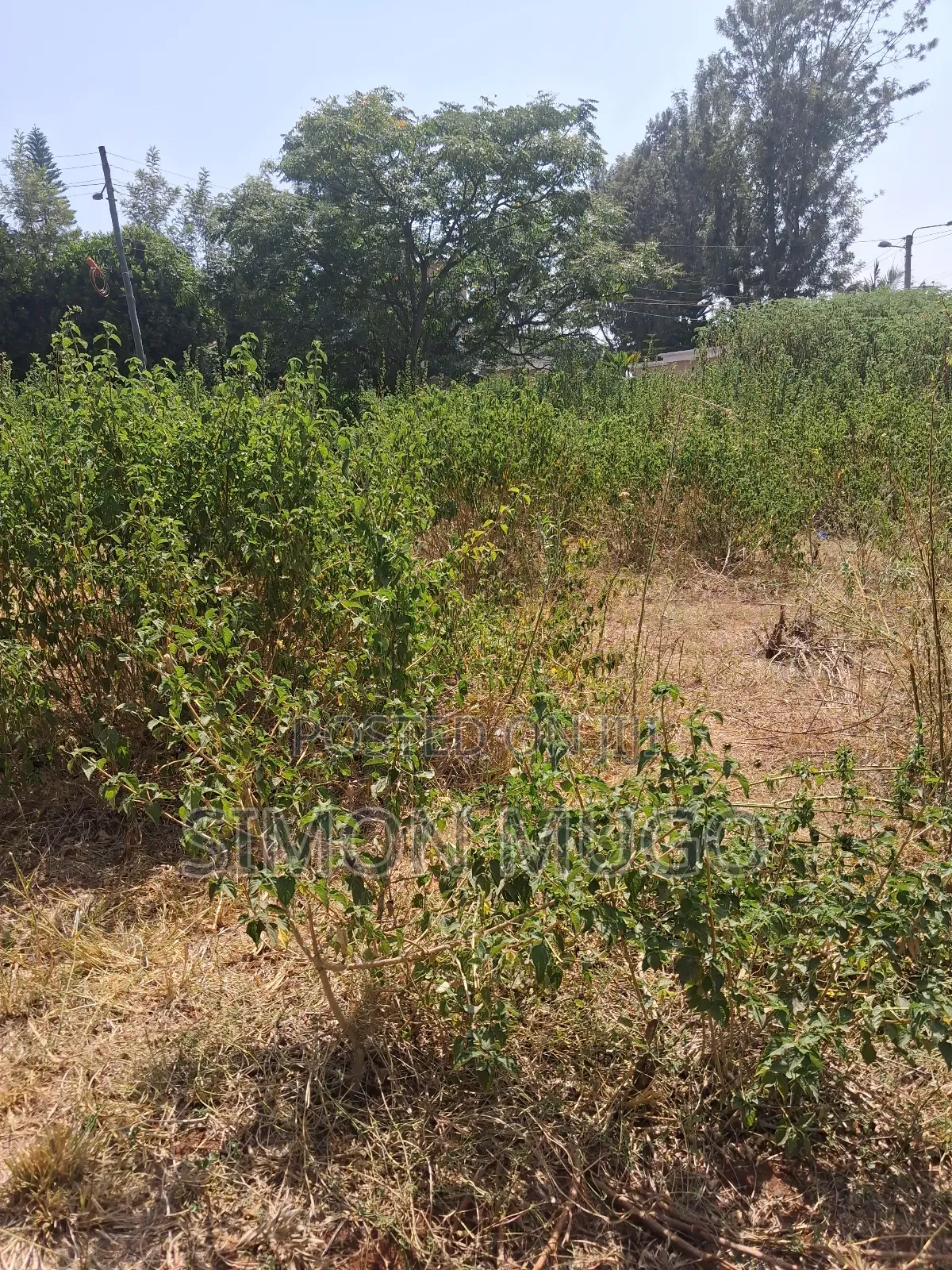 Ridgeways Kiambu Rd Prime Fully Serviced Well Drained Red Soil 1/2 Ac