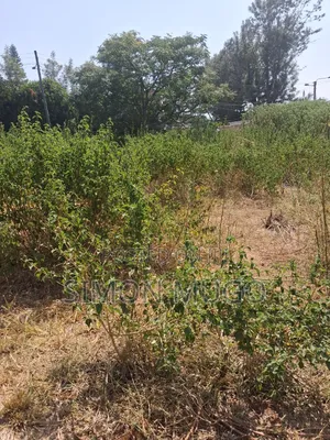 Ridgeways Kiambu Rd Prime Fully Serviced Well Drained Red Soil 1/2 Ac