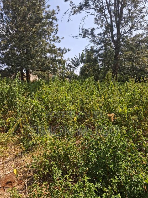 Ridgeways Kiambu Rd Prime Fully Serviced Well Drained Red Soil 1/2 Ac - thumbnail 8
