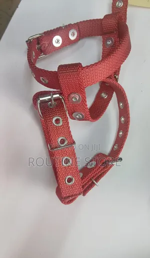 Fibre Climber Strap