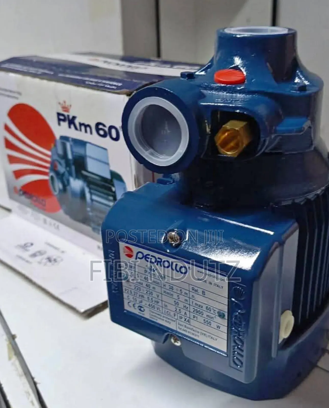 0.5hp Pedrollo Water Pump/Pedrollo Water Pump