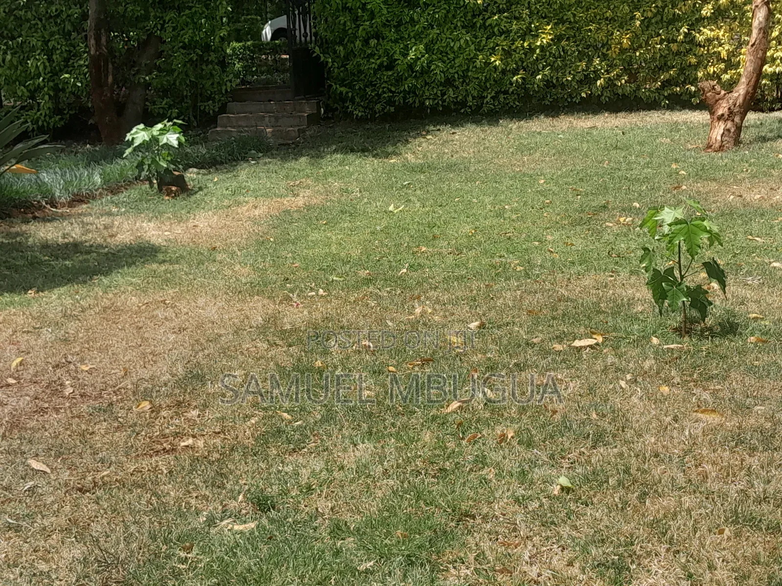 5bdrm House in Karen for rent