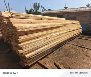 Cyprus- Wood