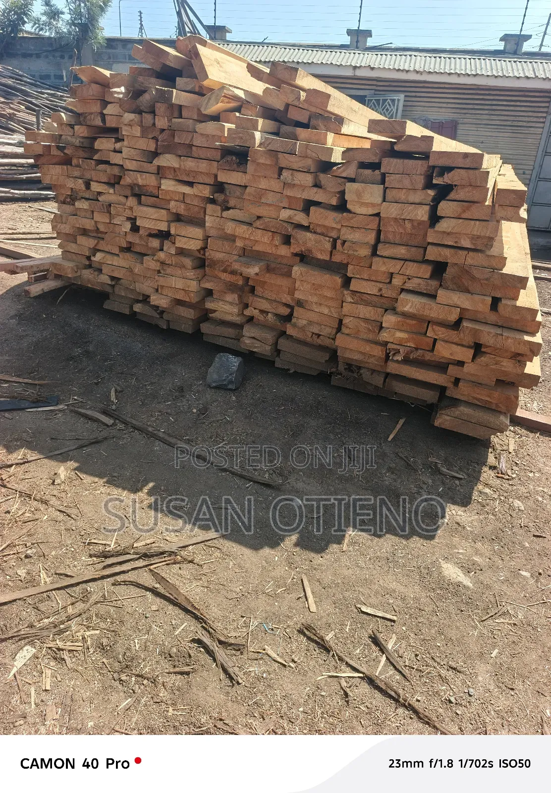 Cyprus- Wood