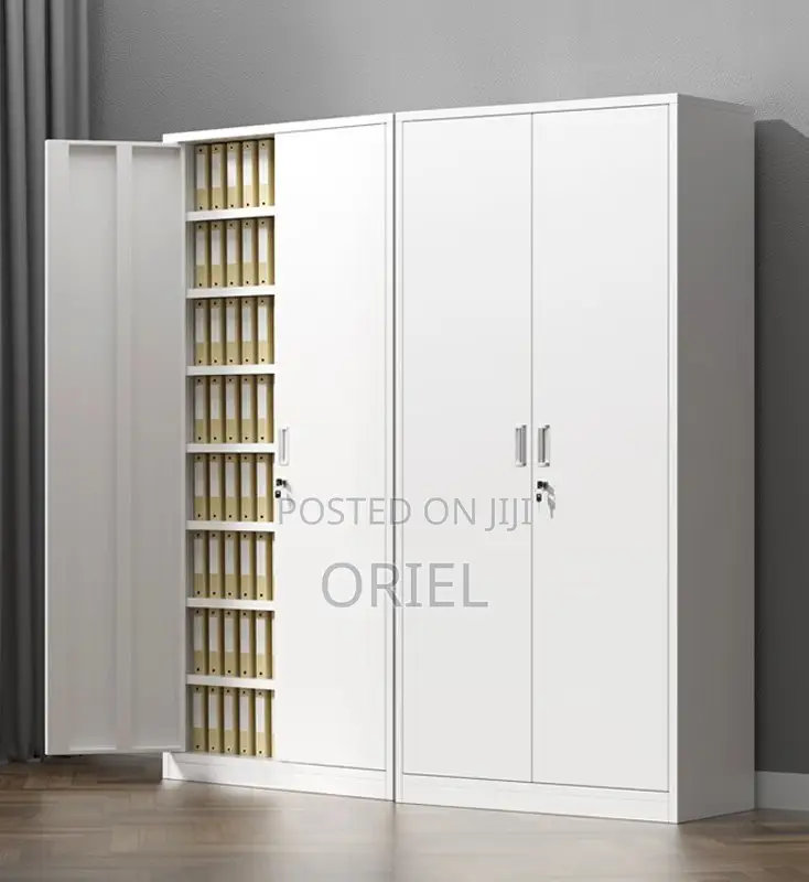 Office Cabinet : 2-Door Modern Steel Office Cabinet
