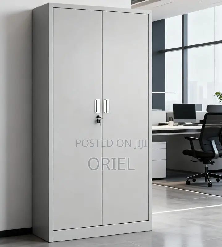 Office Cabinet : 2-Door Modern Steel Office Cabinet