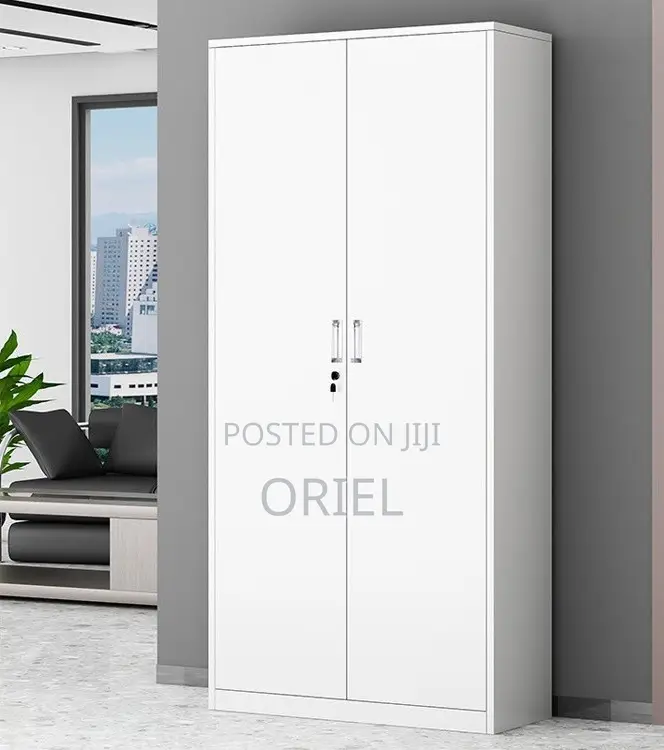 Office Cabinet : 2-Door Modern Steel Office Cabinet