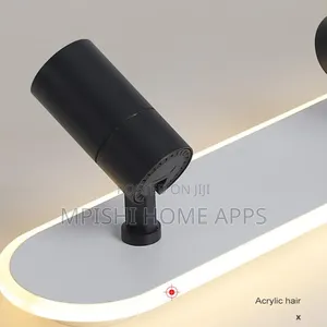 Modern Ceiling Light With Spotlight
