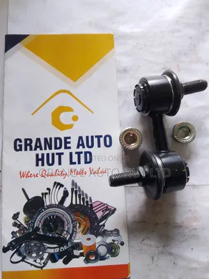 Rear Link Stabilizer for Hyundai Sonata (Ctr Brand)