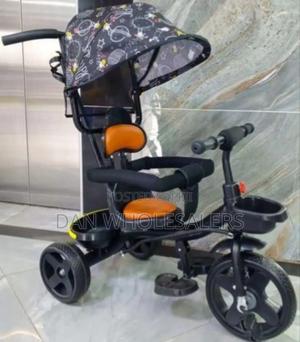 Tricycle With Canopy and Push Handle - main view