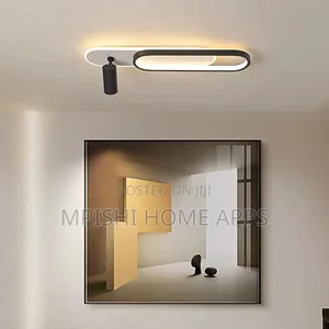 Modern Ceiling Light With Spotlight
