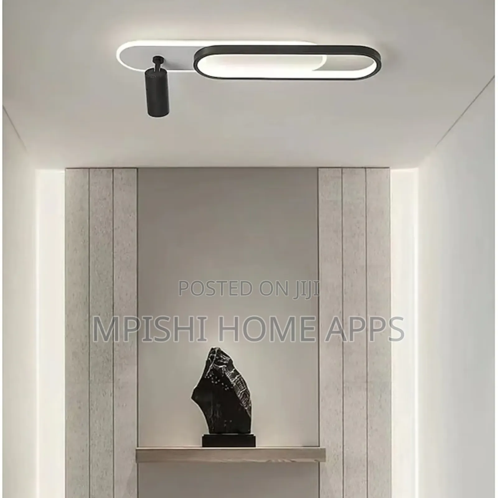 Modern Ceiling Light With Spotlight