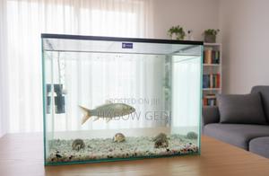 Fish Tank With Decor - main view