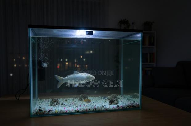 Fish Tank With Decor - thumbnail 2