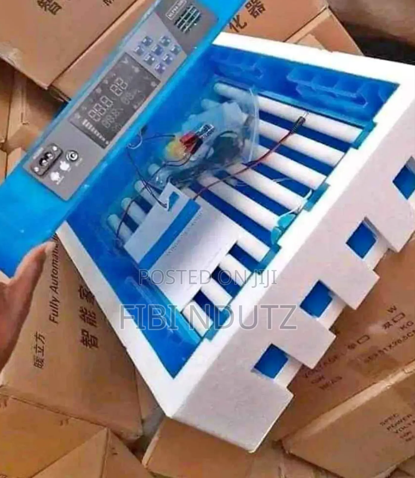 Ac/Dc Egg Incubator/64 Eggs Incubator Machine
