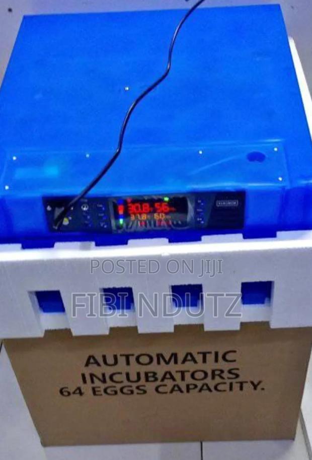 Full Automatic Egg Incubator/64 Eggs Incubator Machine
