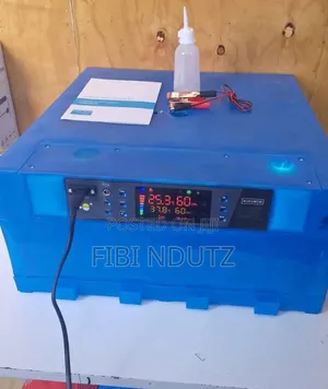 New Eggs Incubator/64 Eggs Incubator