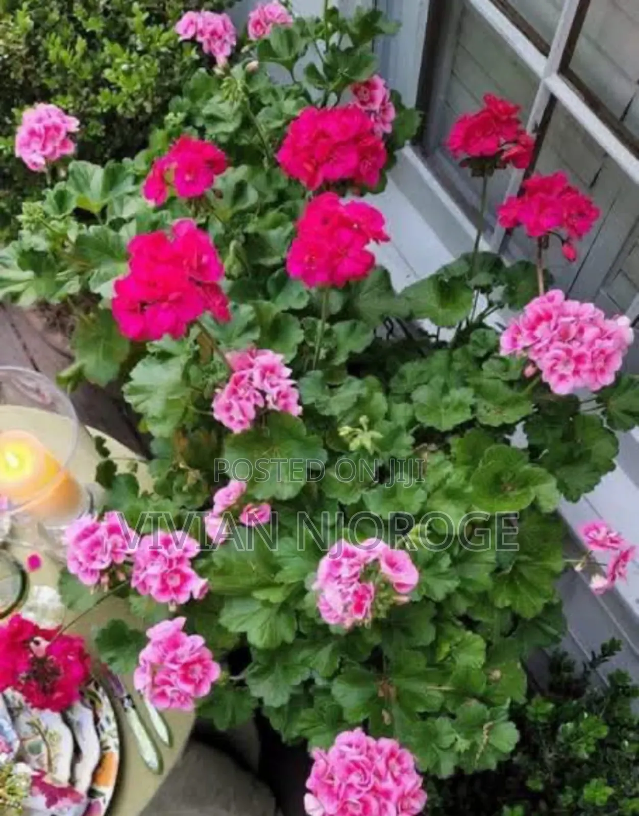 Landscaping Services