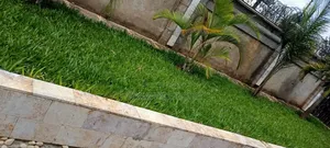 Landscaping Services