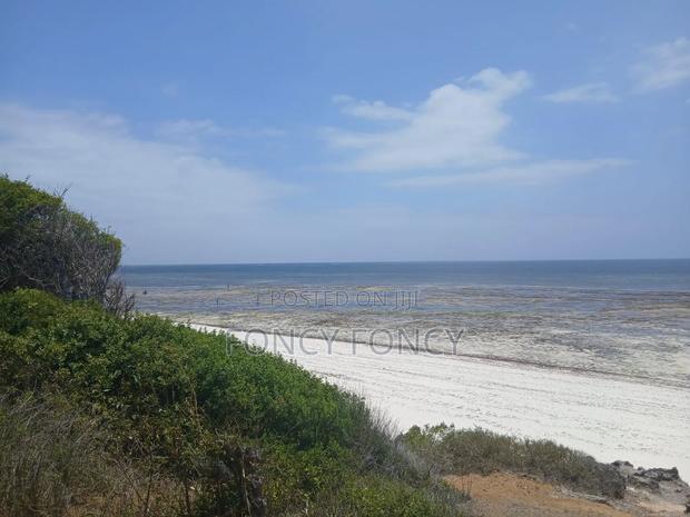 Beach Plot - main view