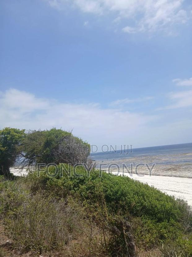 Beach Plot - thumbnail 2