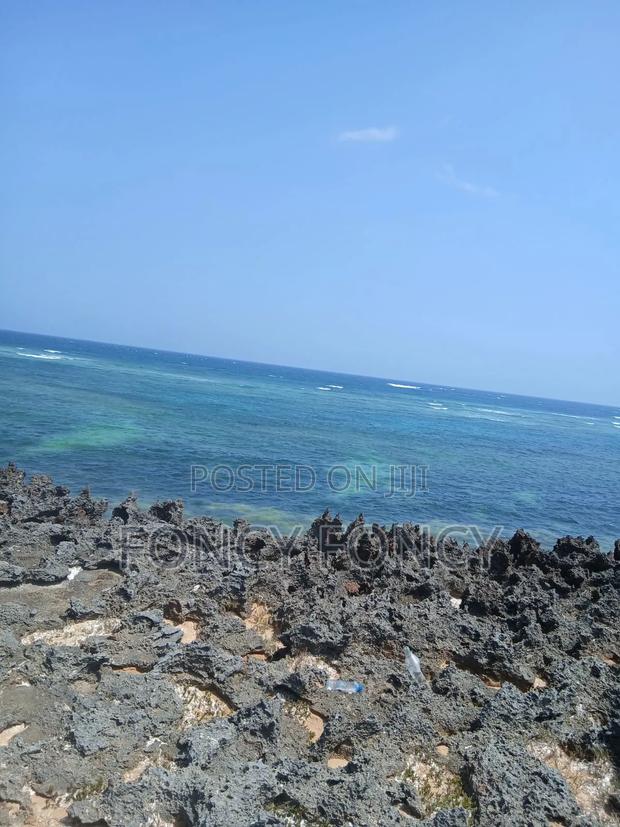 Beach Plot - thumbnail 4