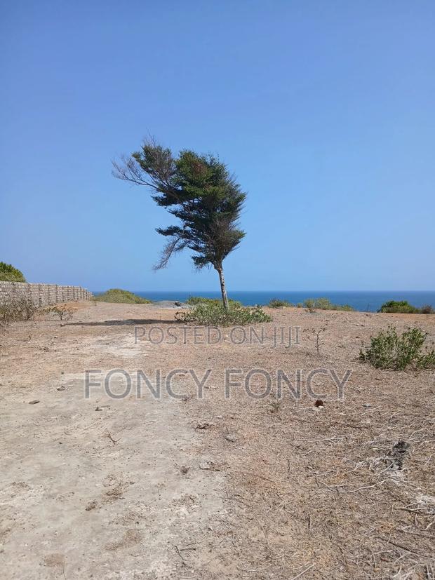 Beach Plot - thumbnail 5