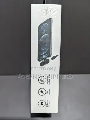 Wireless Microphone (Type C)