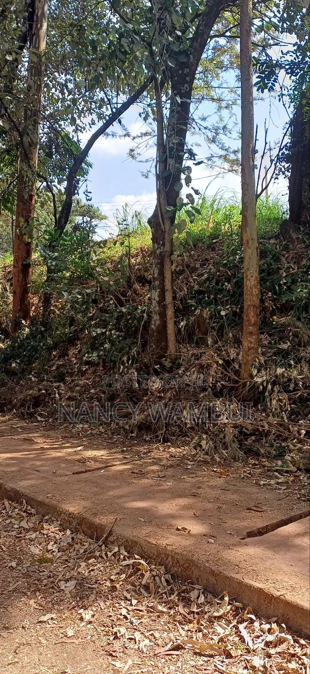 50*100 Plots for Lease - main view