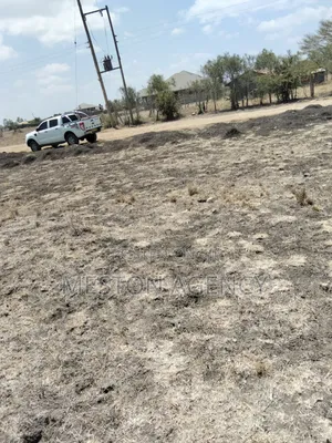 Prime Plot 40x80 in Juja Farm