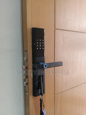 Tuya Wi-Fi Fingerprint Door Lock, Security Smart Lock With Wifi App