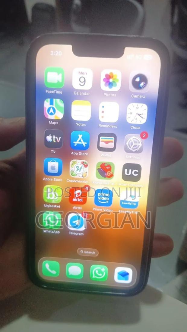 Apple iPhone 13 Pro Max 256 GB Silver