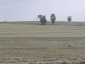 270 Acres Agricultural Property for Sale