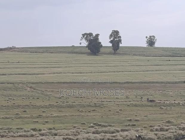 270 Acres Agricultural Property for Sale