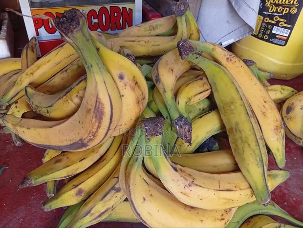 Fresh Plantain for Sale
