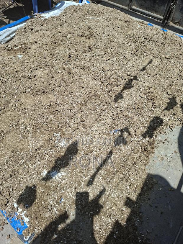 Dried Chicken Manure - main view