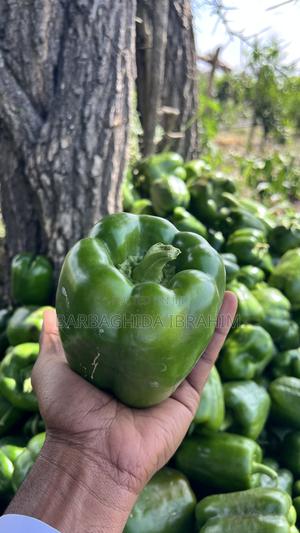 Hoho (Bell Pepper/Capsicum) - main view