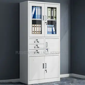 Office Cabinet; 2-door Metallic Office Filling Cabinet