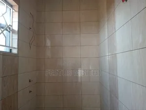 Wall Tiles Installation and Cleaning After Installation