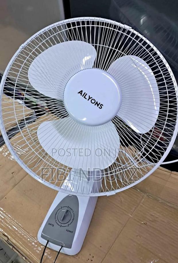 Electric Wall Fan/Affordable Wall Fan Available