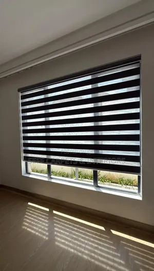 Zebra Blinds.