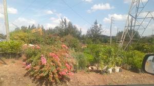 Land for Lease 4 Acres Fronting Eastern Bypass - thumbnail 3