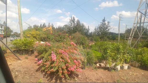 Land for Lease 4 Acres Fronting Eastern Bypass - thumbnail 4