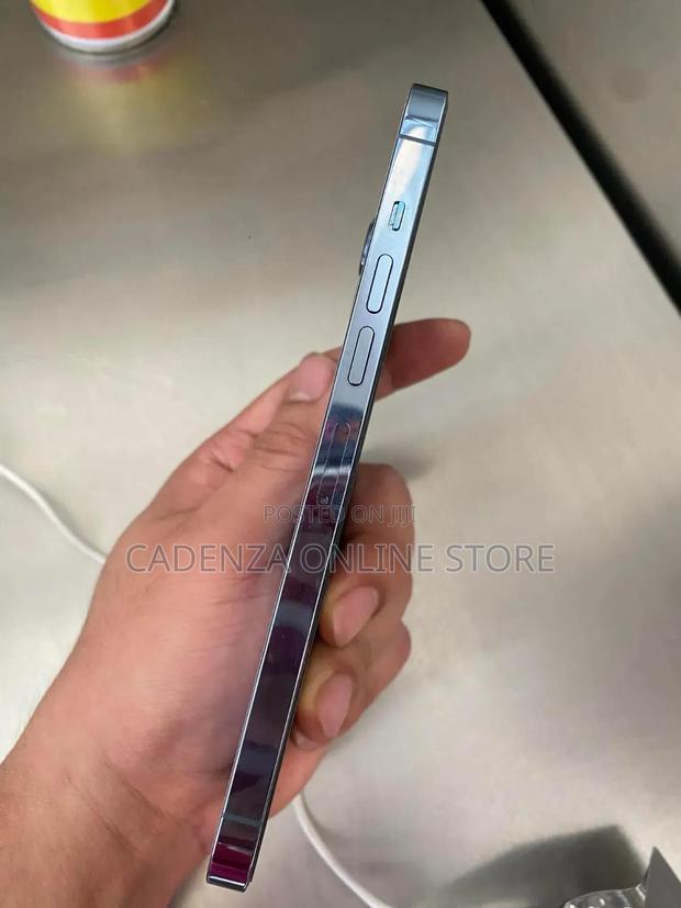 Apple iPhone 13 Pro Max 256 GB Blue - thumbnail 4