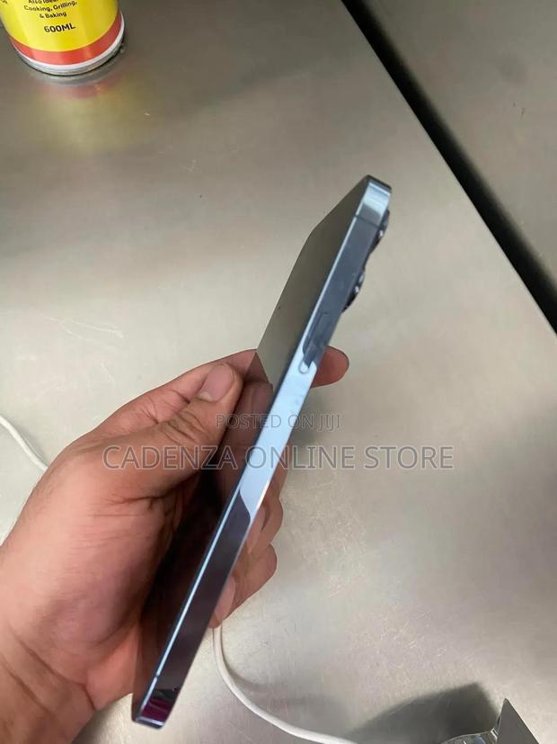 Apple iPhone 13 Pro Max 256 GB Blue - thumbnail 5