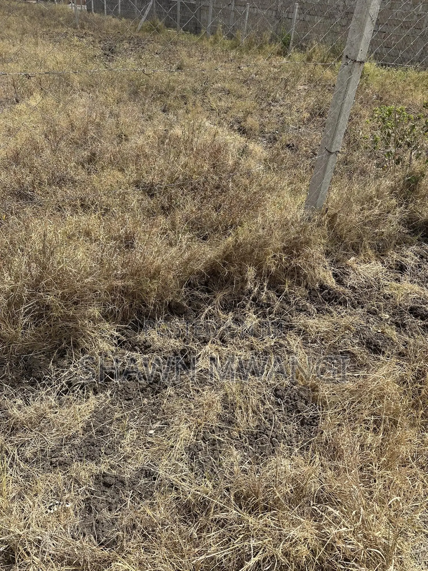 Two Plots for Sale Adjacent to Each Other Mwalimu Farm Phase 3