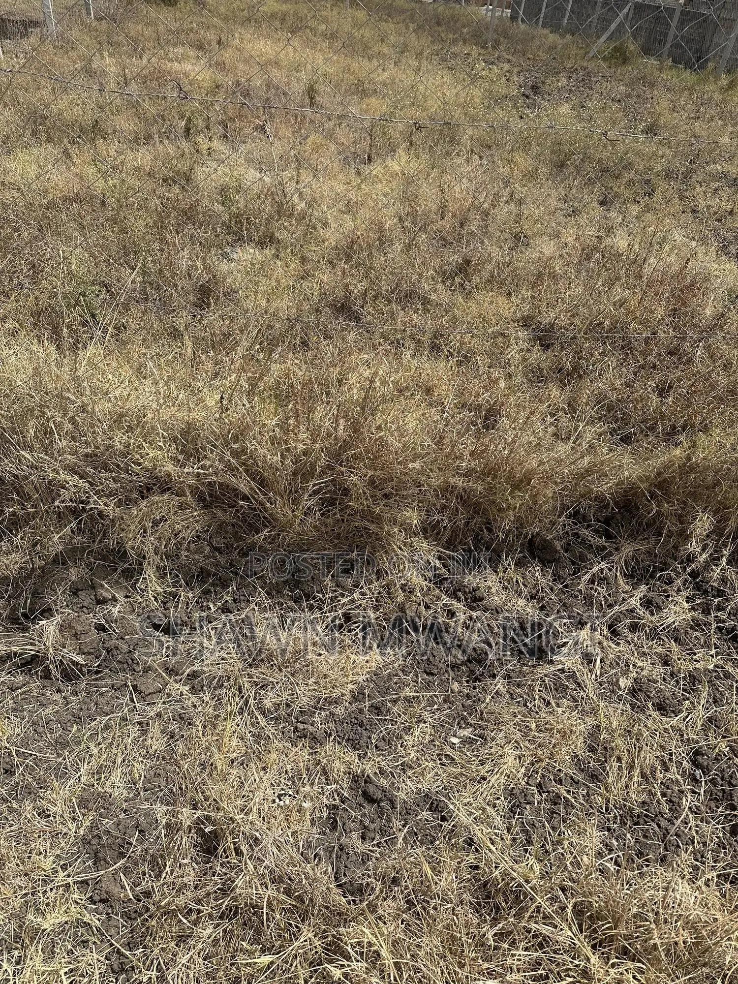 Two Plots for Sale Adjacent to Each Other Mwalimu Farm Phase 3