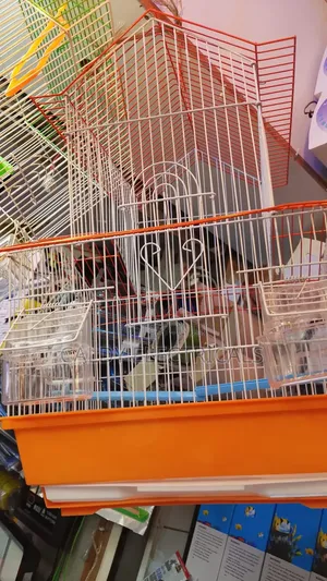Unique Design Metal Bird Cage for Small Birds