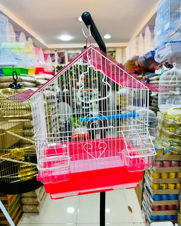Beautiful Bird Cage - main view