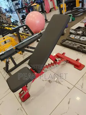 Professional Gym Bench Kenya